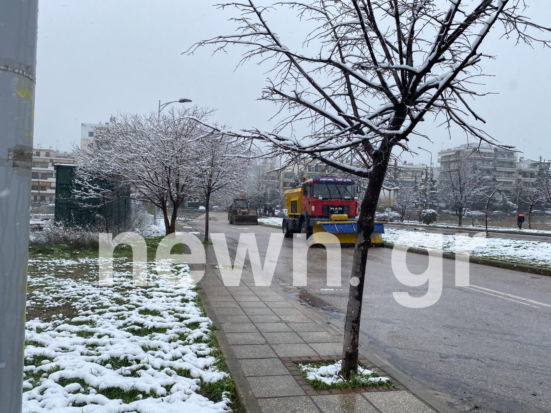 image_6483441-10
