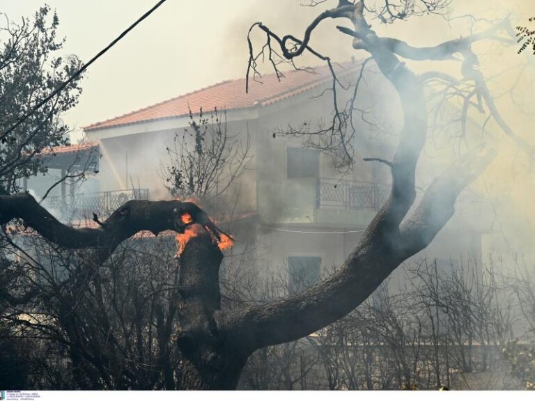 Φωτιά στην Αττική: Σε εφαρμογή το μέτρο της αναστολής συμβάσεων εργασίας – Τι ισχύει