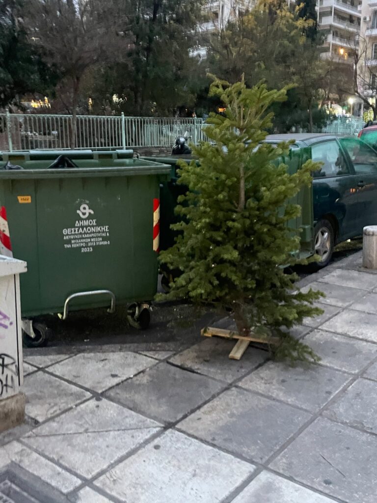 Θεσσαλονίκη: Ανακύκλωση χριστουγεννιάτικων δέντρων – Η διαδικασία